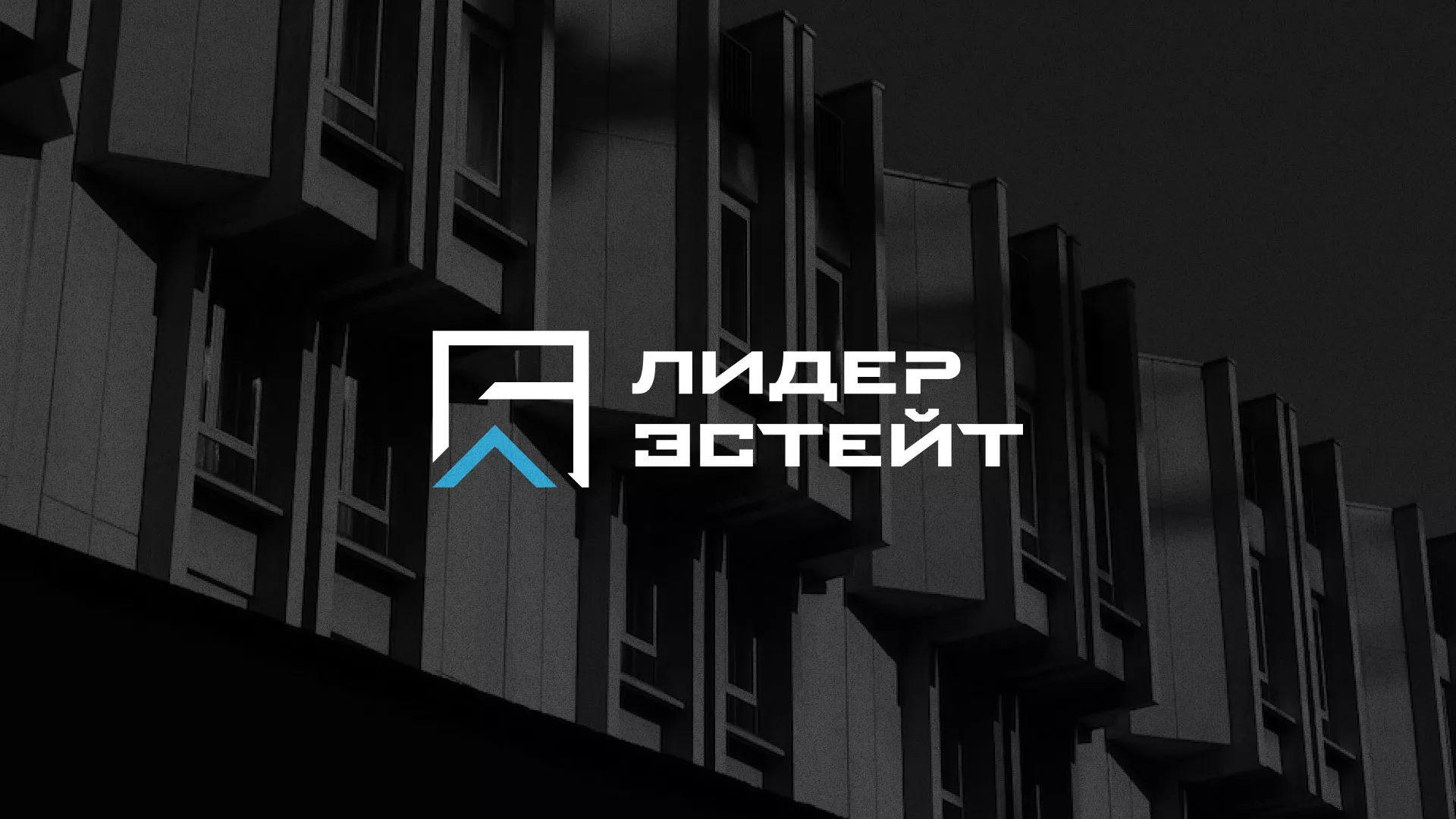 Разработка логотипа агентства недвижимости «Лидер Эстейт» в Касимове